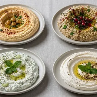 Hummus, baba ghanoush, labneh and tzatziki