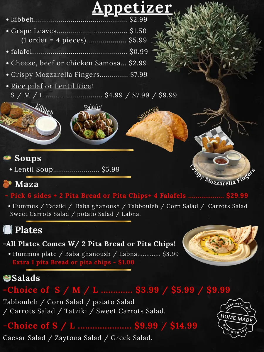 Appetizers at Zaytona Grill — kibbeh, falafel, samosa, mozzarella fingers
