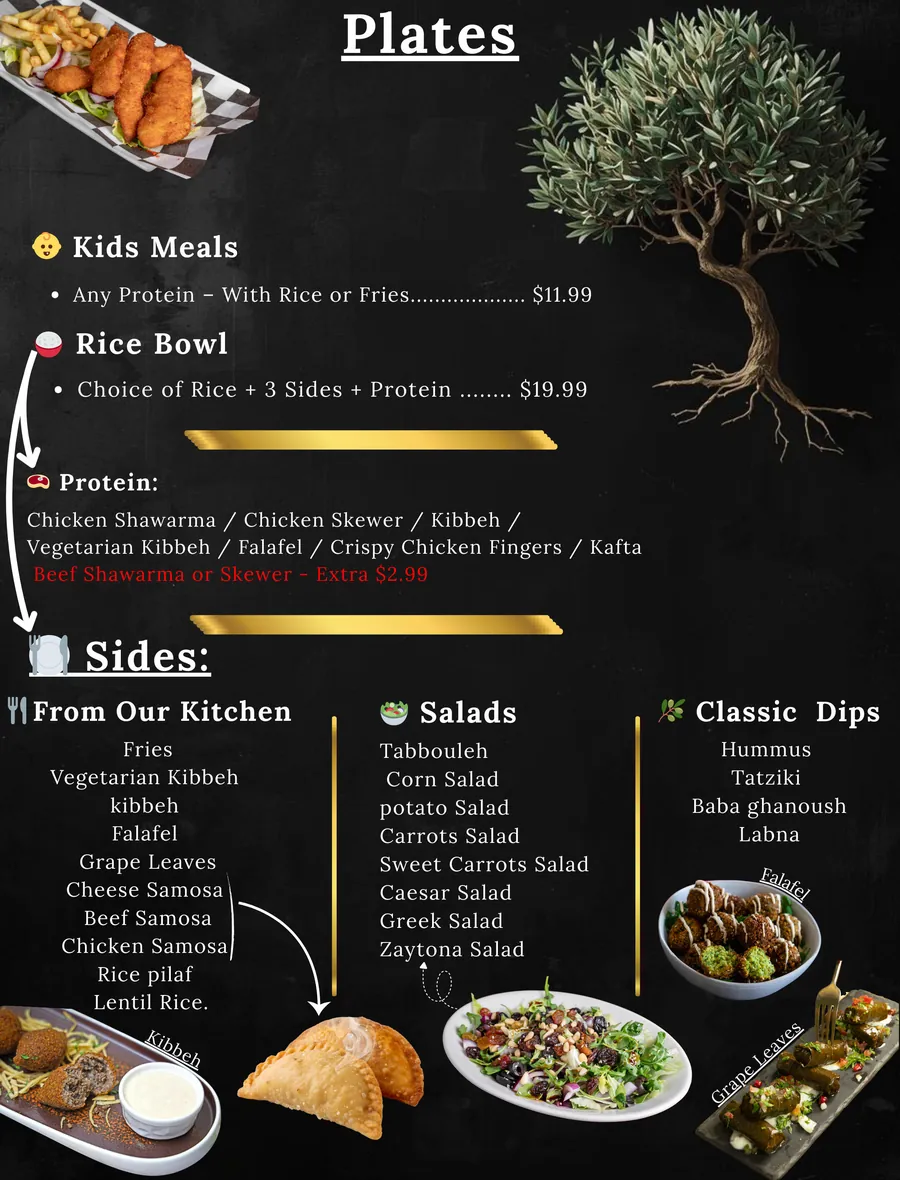 Kids meals and rice bowls at Zaytona Grill